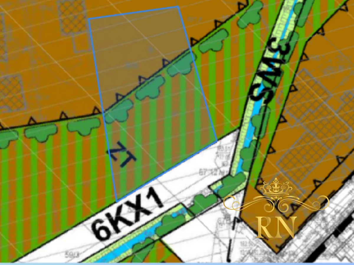 RN975402 - zdjęcie nr 2