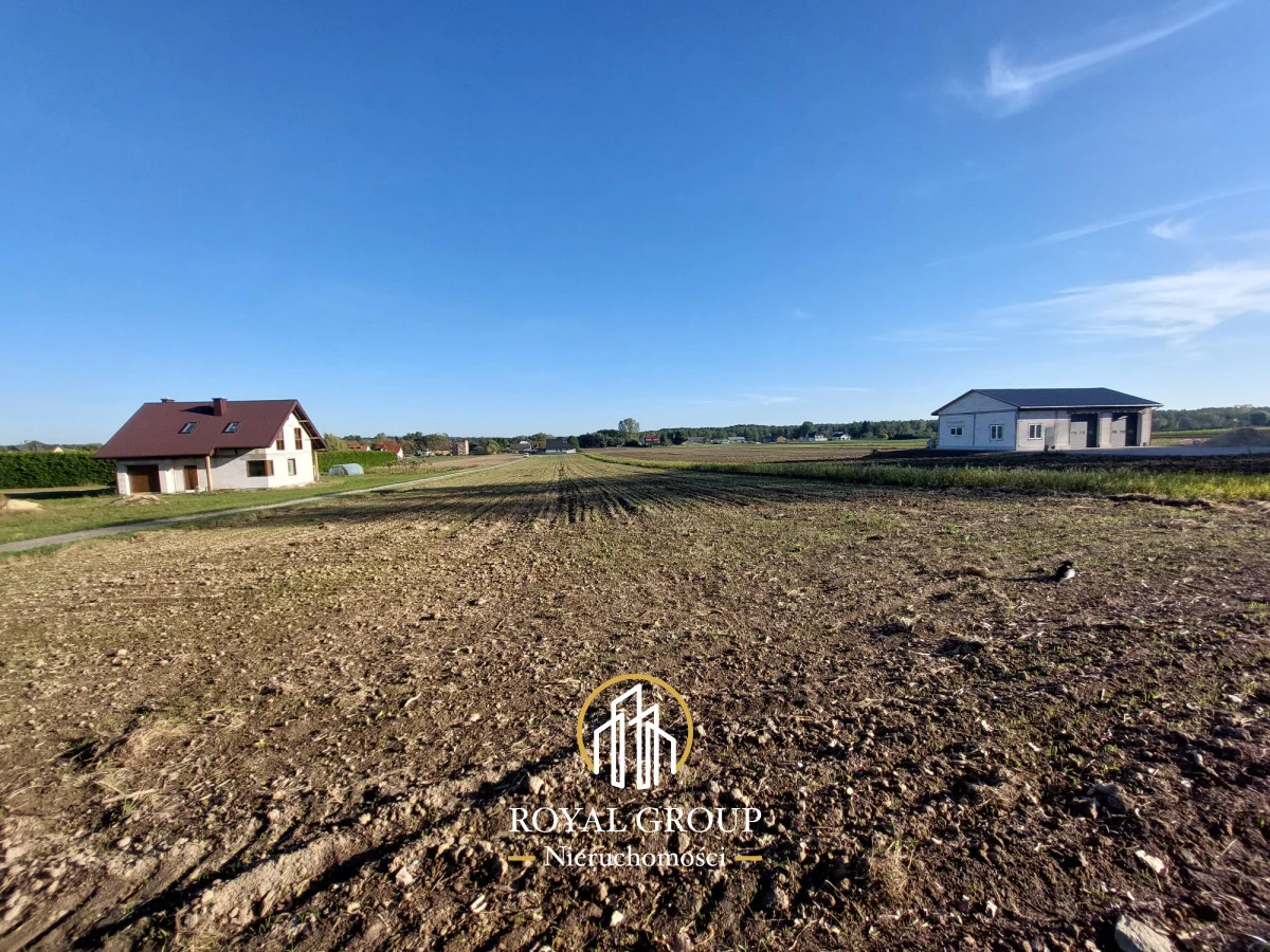 RN134085 - zdjęcie nr 4