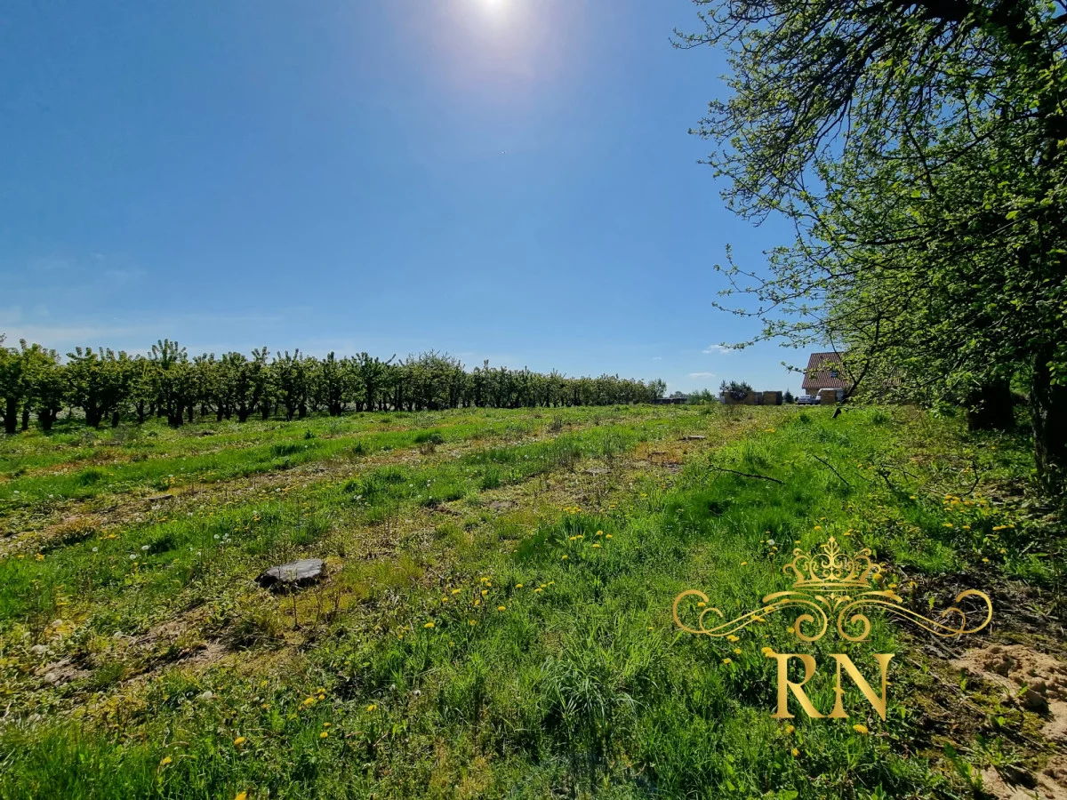 Działka 2 500,00 m², Natalin, Sprzedaż