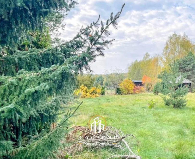 RGN385228 - zdjęcie nr 4