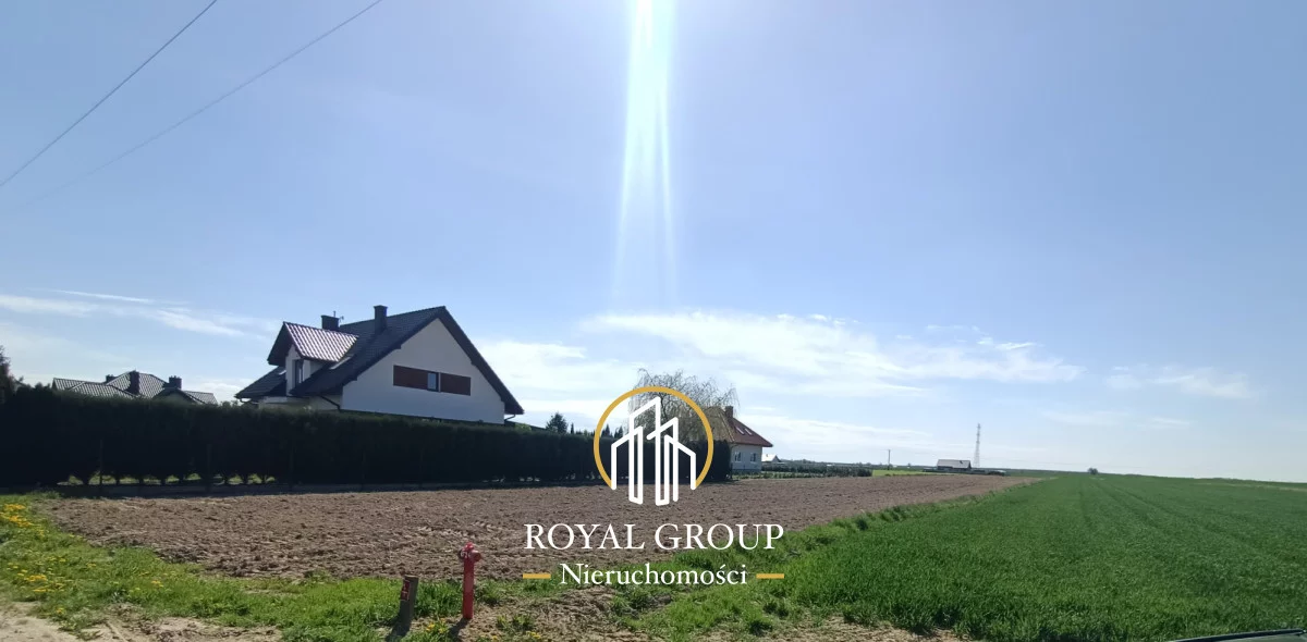 RGN247465 - zdjęcie nr 0