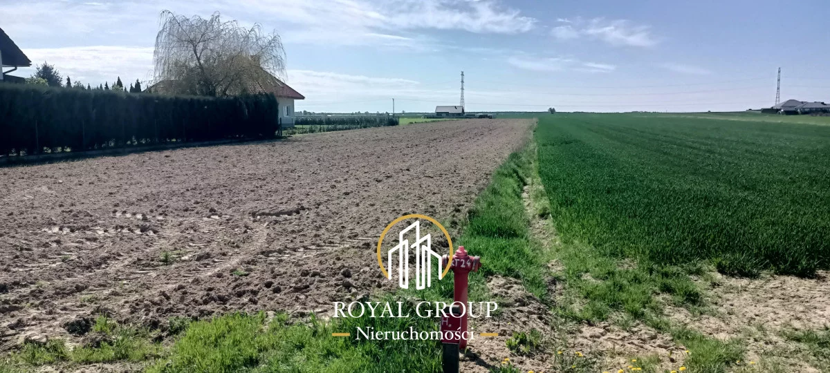 RGN247465 - zdjęcie nr 1