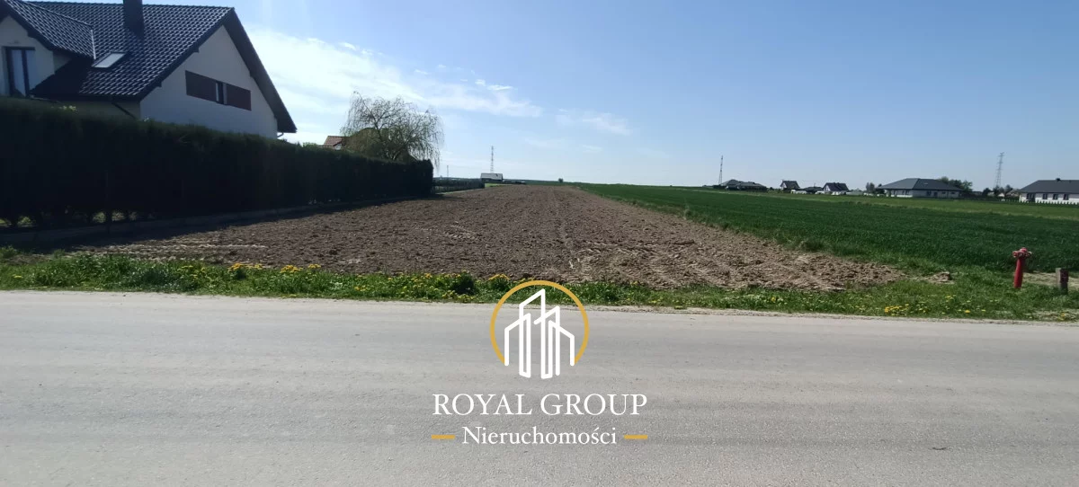 RGN247465 - zdjęcie nr 2