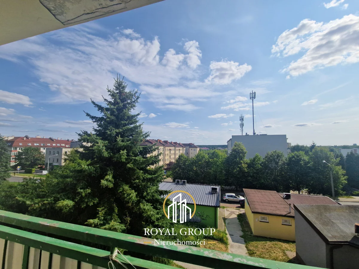 RGN185878 - zdjęcie nr 0