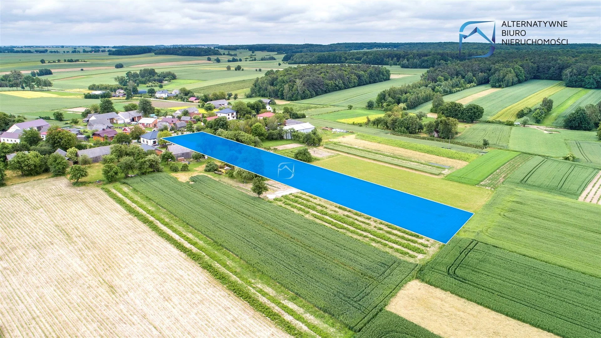LER-GS-3186 - zdjęcie nr 1