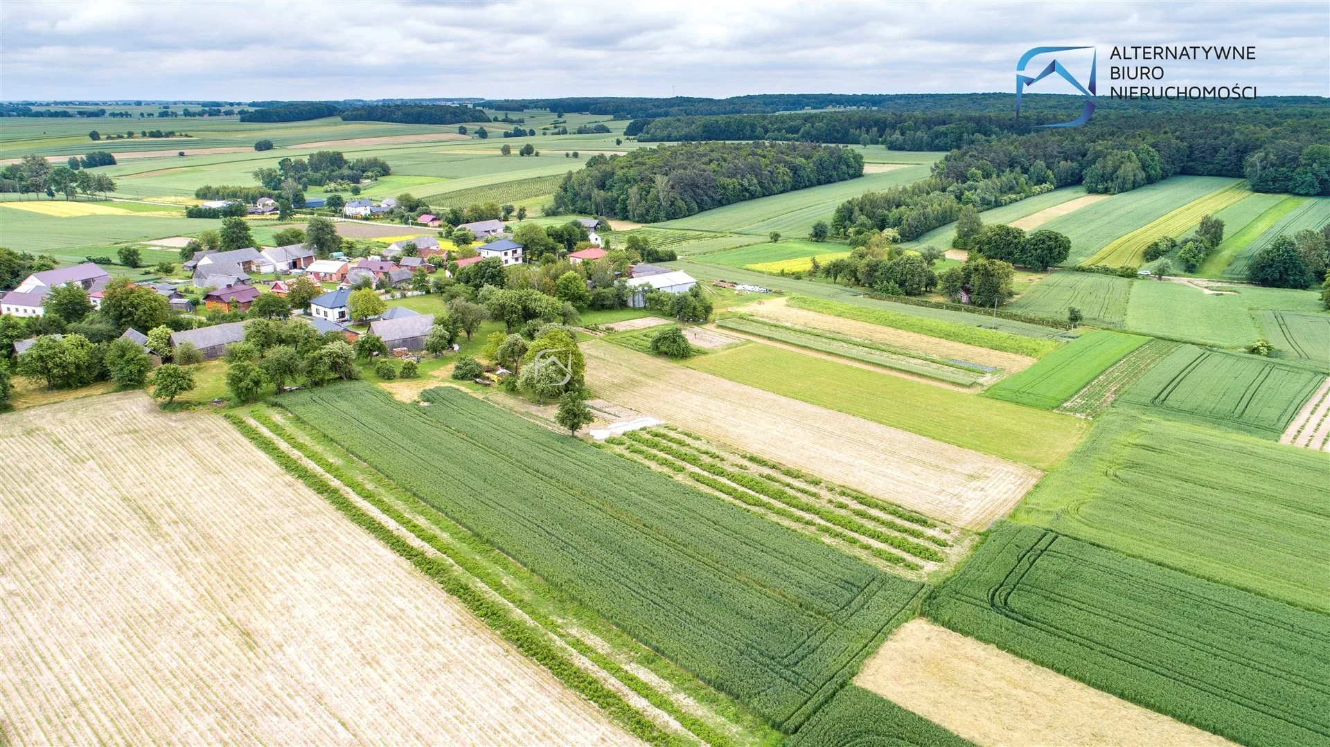 LER-GS-3186 - zdjęcie nr 2