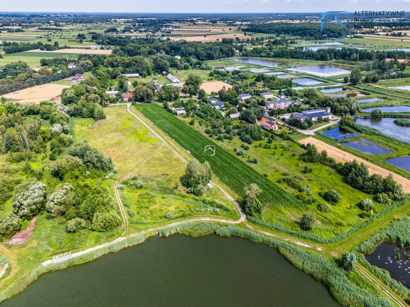 LER-GS-3266 - zdjęcie nr 3