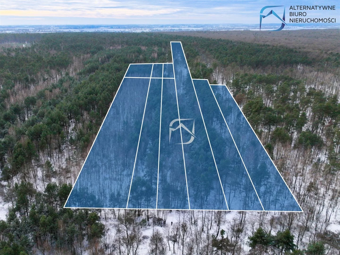 Działka 23 500,00 m², oferta nr , LER-GS-2726, Niemce