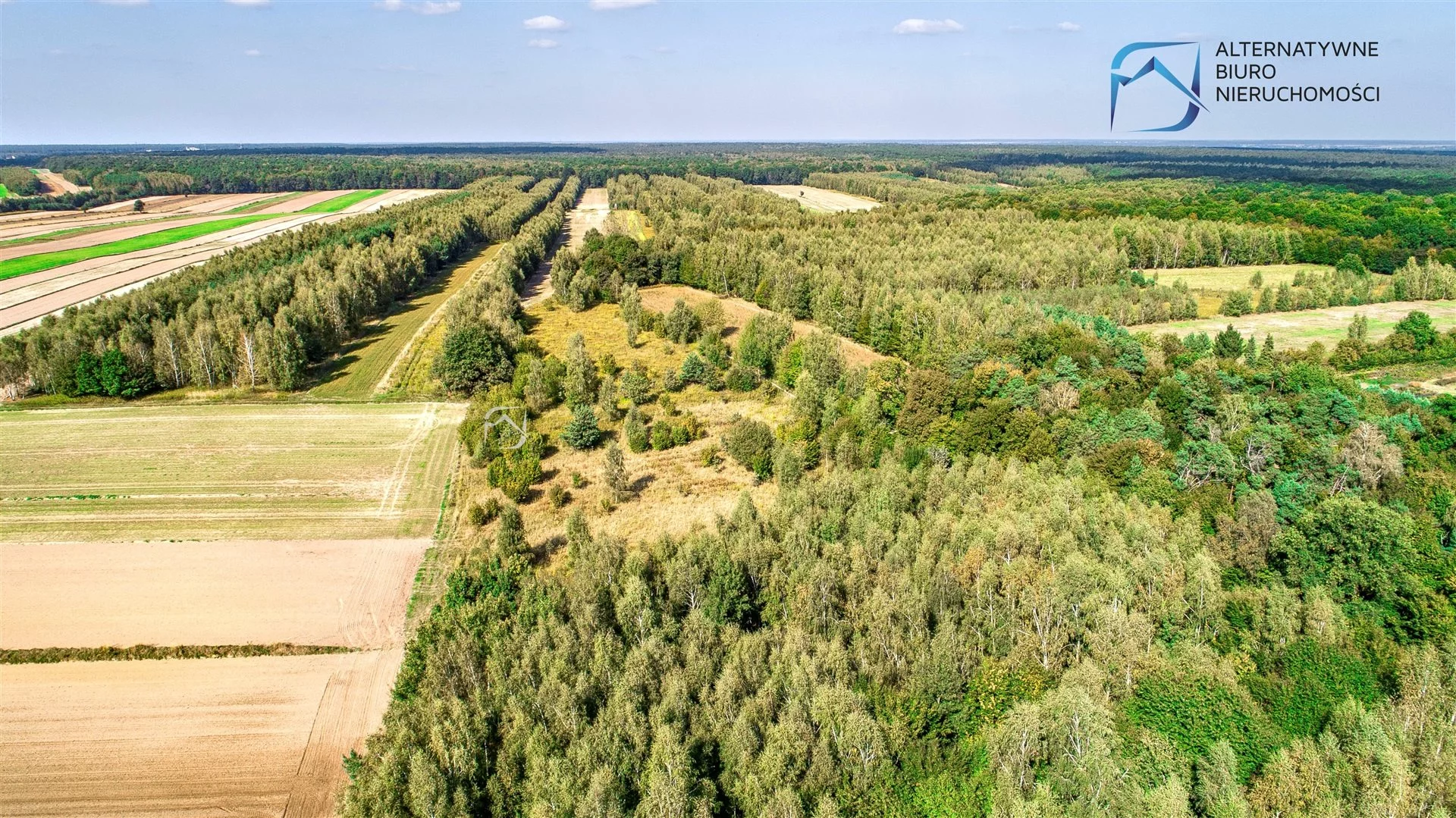 Działka 2 420,00 m², oferta nr , LER-GS-2950, Niemce