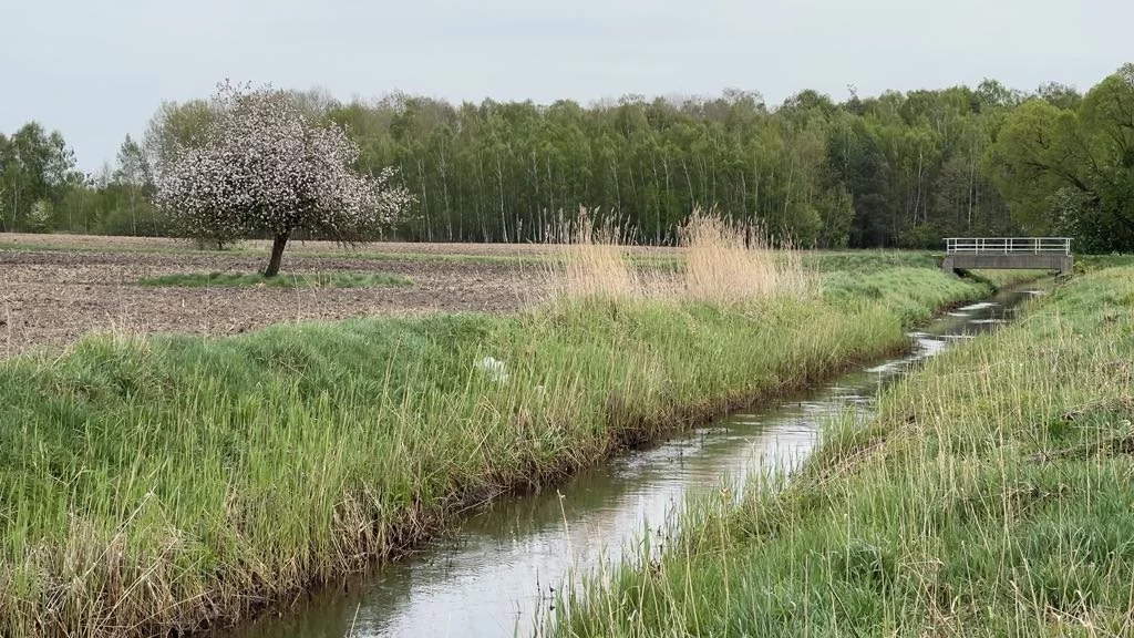 Działka 1 500,00 m², oferta nr , LER-GS-3073, Orzechów-Kolonia
