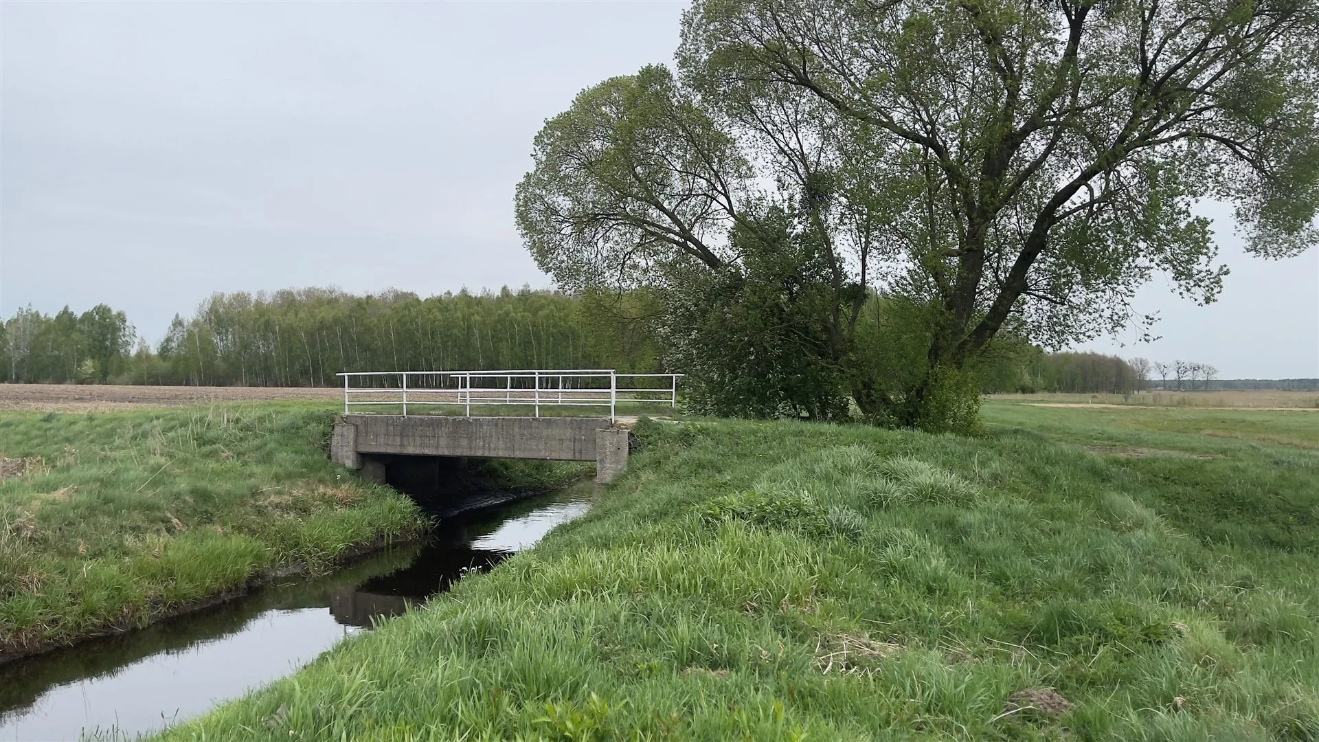 Działka 1 500,00 m², oferta nr , LER-GS-3073, Orzechów-Kolonia