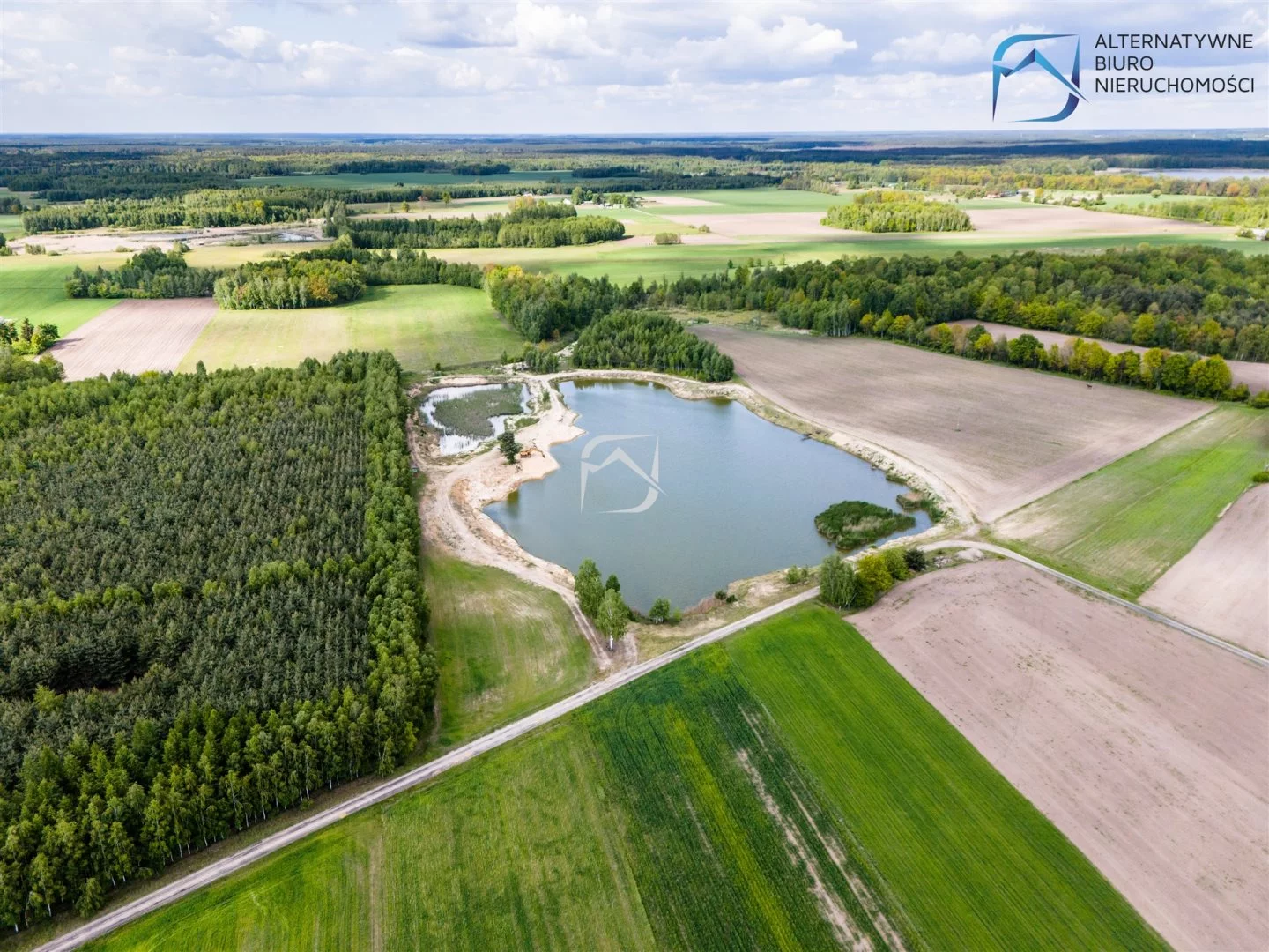 LER-GS-3127 - zdjęcie nr 3