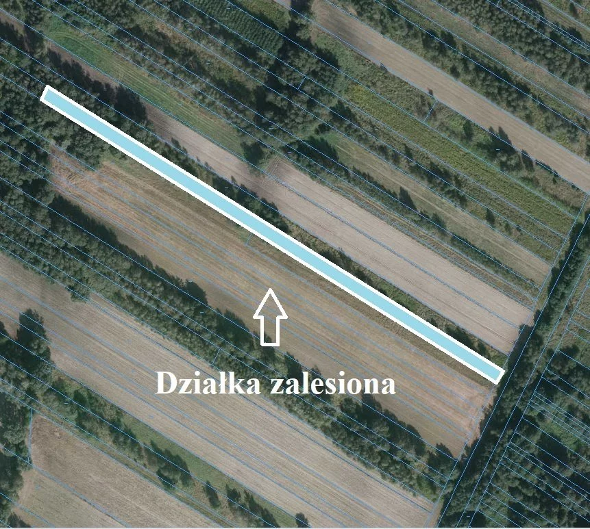 Działka 18 000,00 m², oferta nr , LER-GS-1061, Ostrów Lubelski
