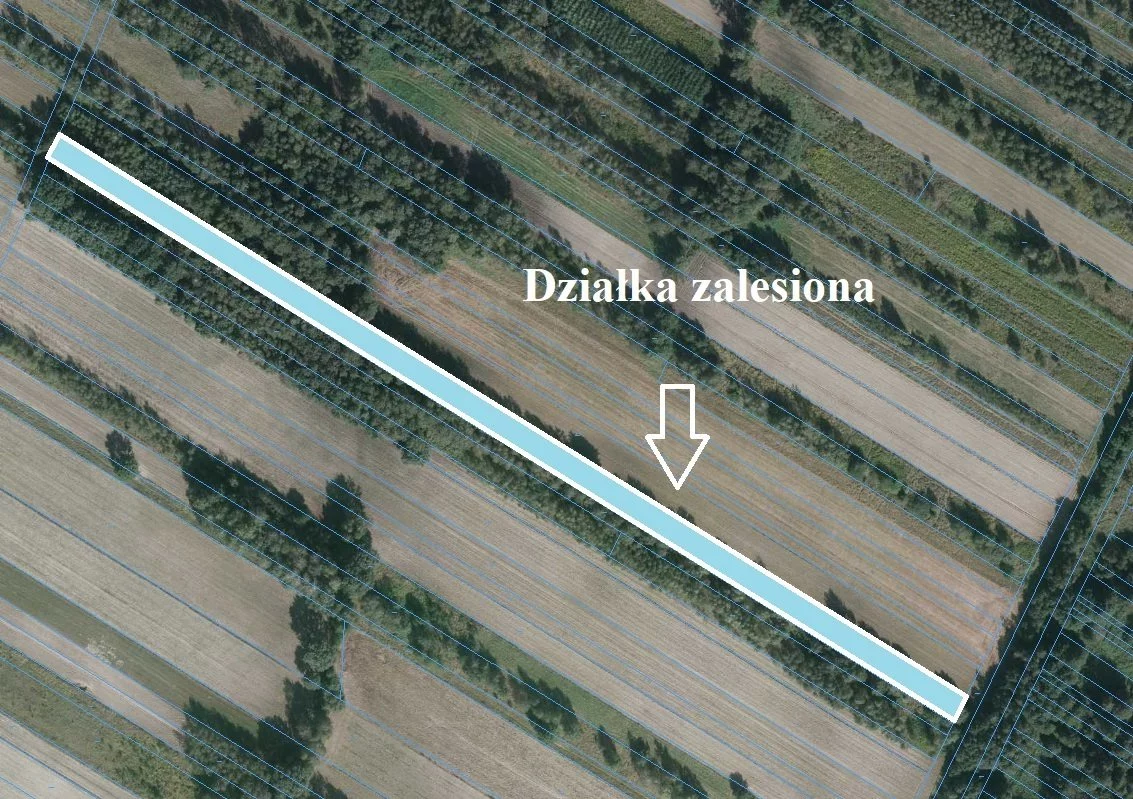 Działka 18 000,00 m², oferta nr , LER-GS-1061, Ostrów Lubelski