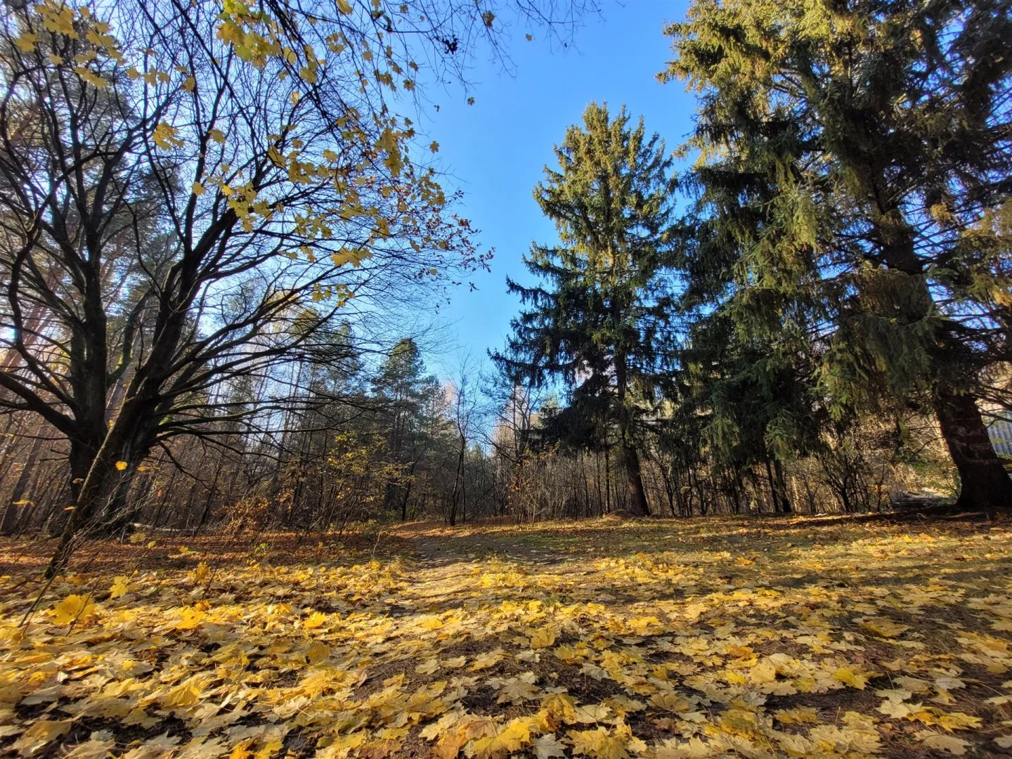 Działka 800,00 m², oferta nr , LER-GS-3017, Parczew