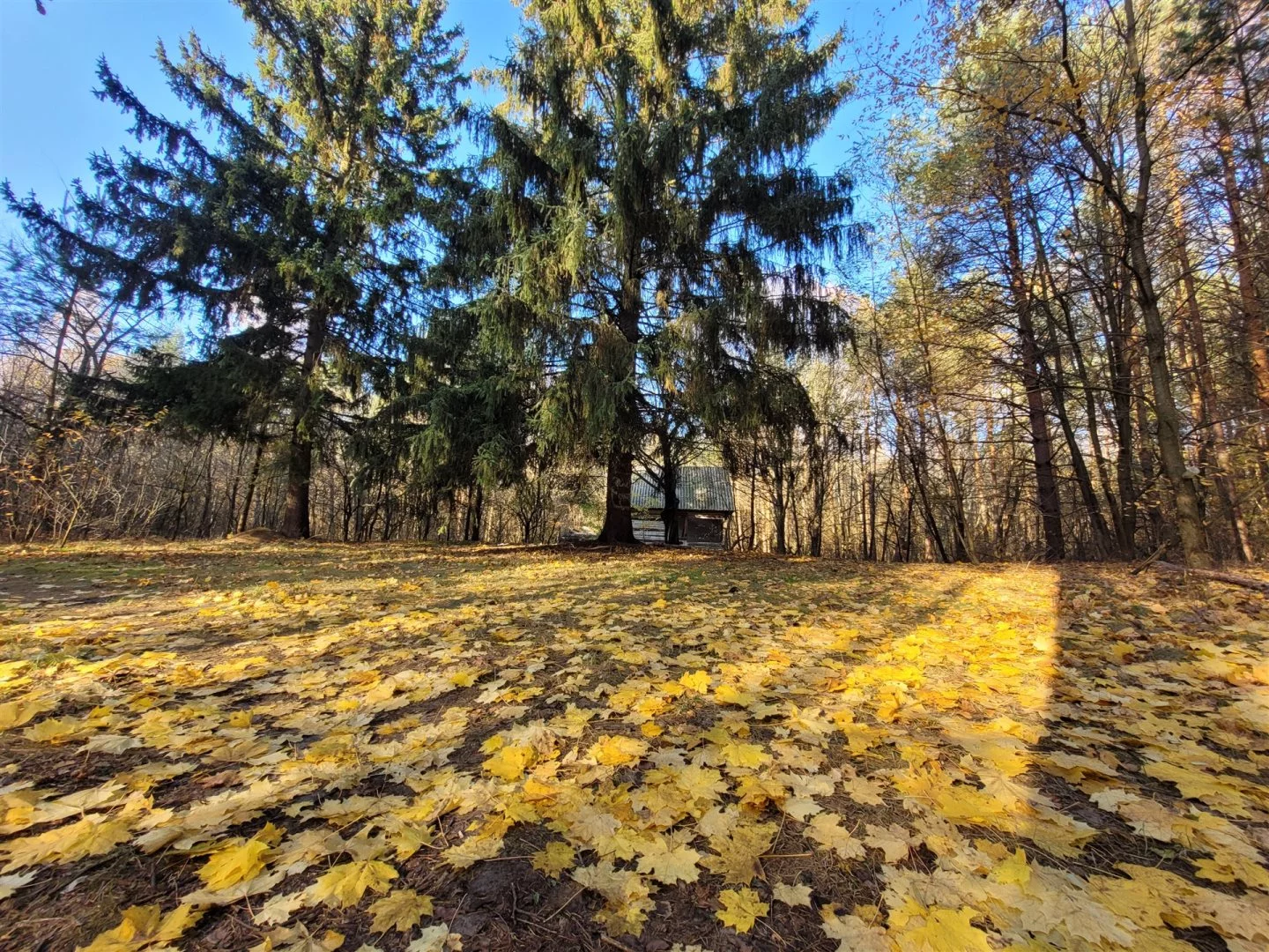 Działka 800,00 m², oferta nr , LER-GS-3017, Parczew