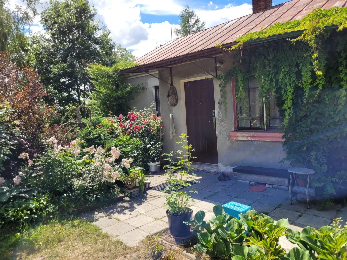 LER-GS-3163 - zdjęcie nr 4
