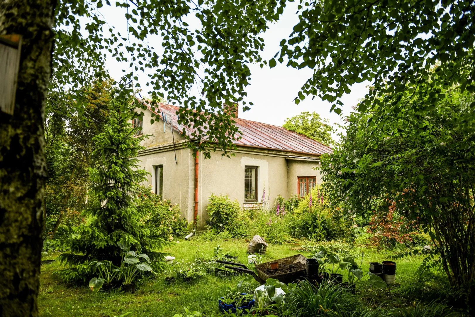 Działka 1 799,00 m², oferta nr , LER-GS-3163, Serniki