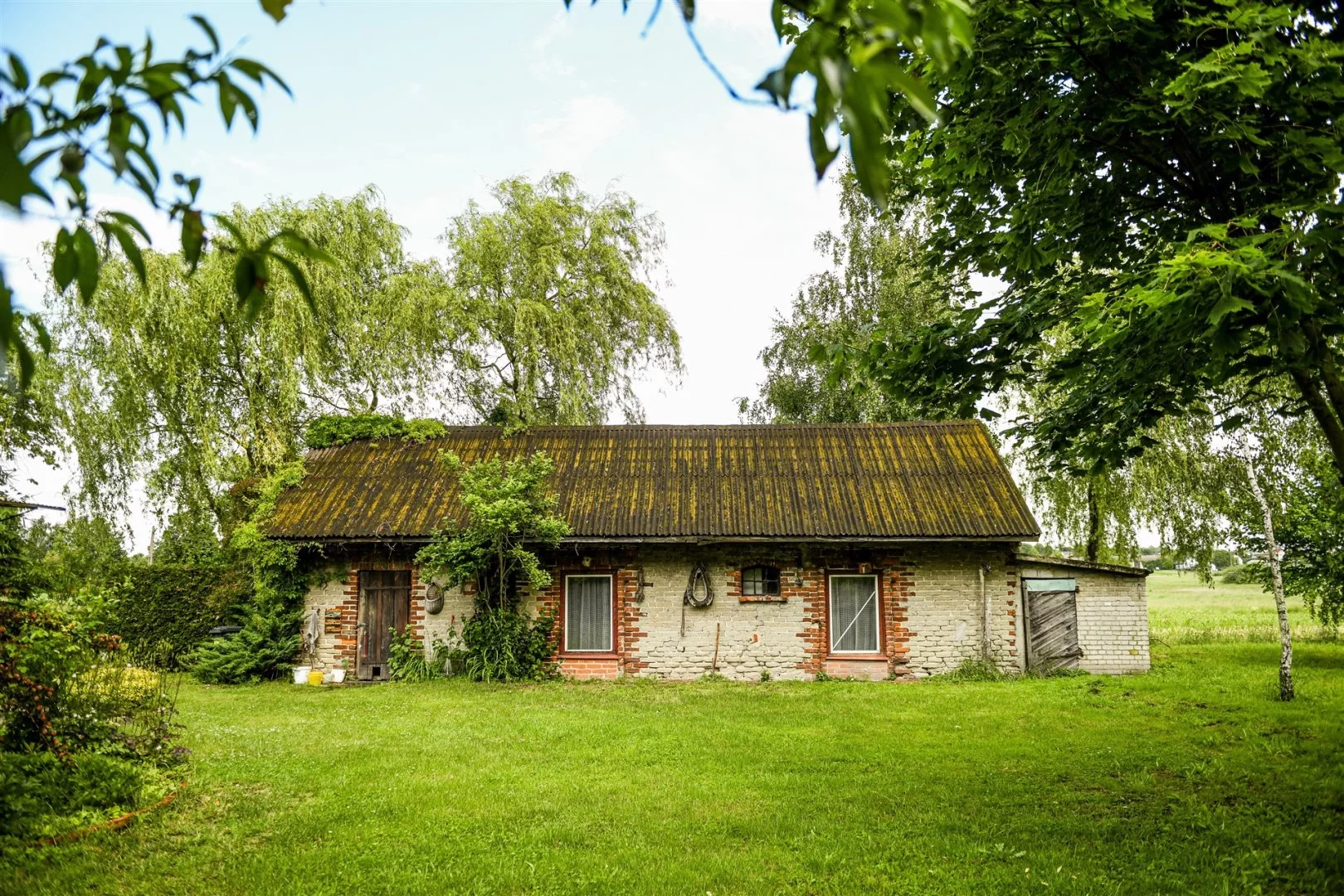 Działka 1 799,00 m², oferta nr , LER-GS-3163, Serniki