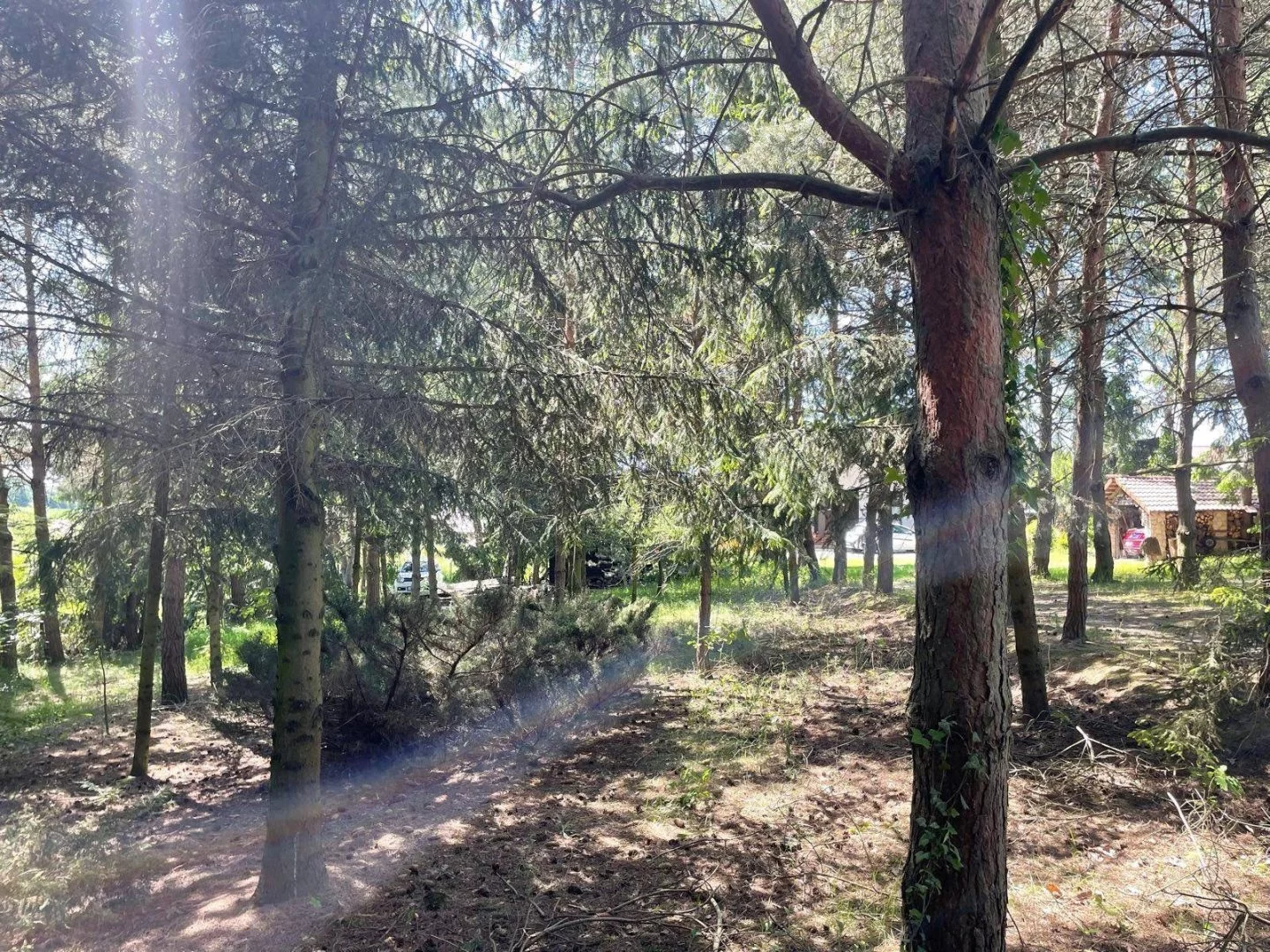 Działka 8 200,00 m², oferta nr , LER-GS-2390, Strzyżewice