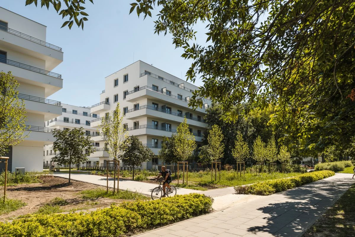 Lokal użytkowy 46,65 m², oferta nr , 450742, Warszawa, Praga Południe, Praga Południe, Lizbońska