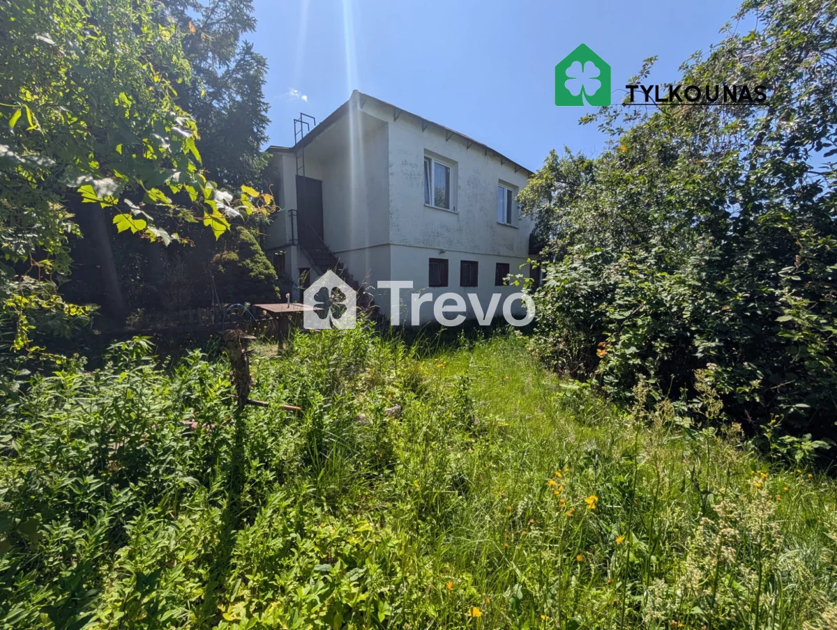 TN987238 - zdjęcie nr 1