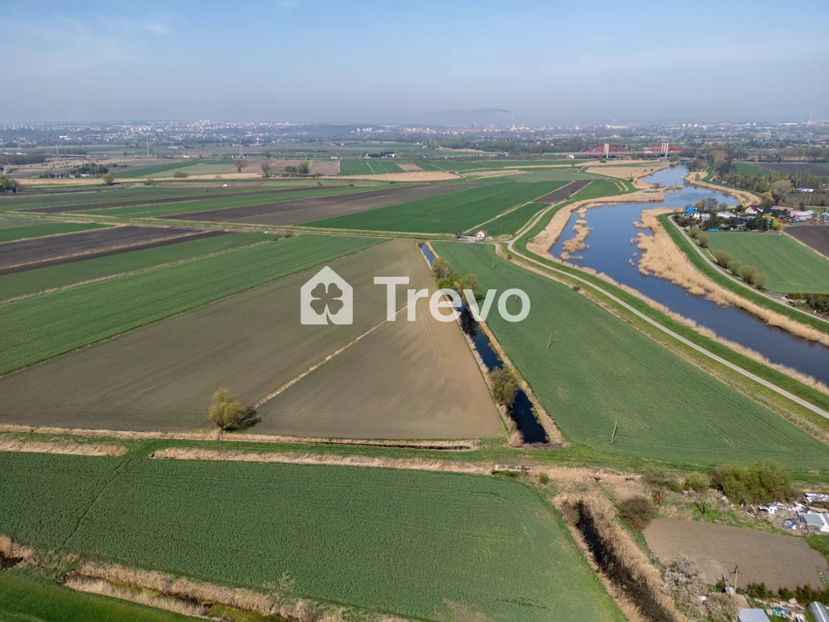 TN834114 - zdjęcie nr 1