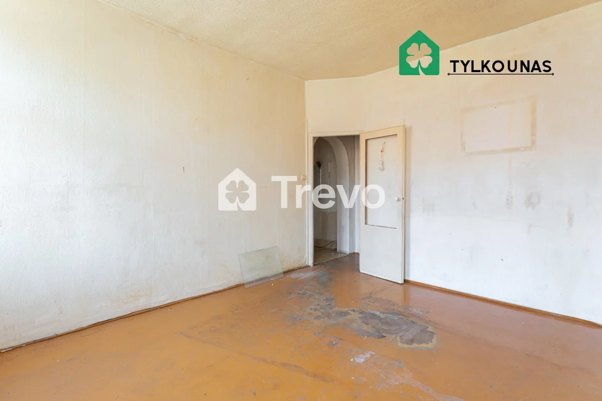 TN240804 - zdjęcie nr 1