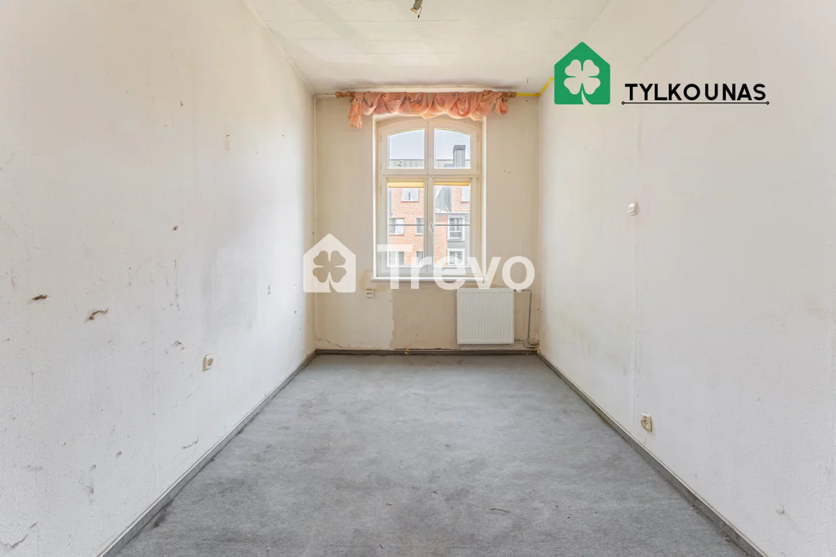 TN240804 - zdjęcie nr 3