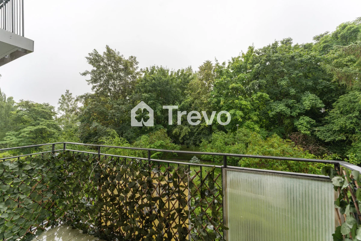 TN214682 - zdjęcie nr 4