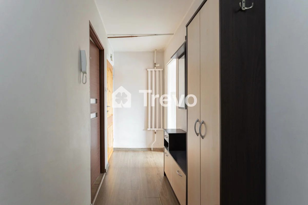 TN528131 - zdjęcie nr 2