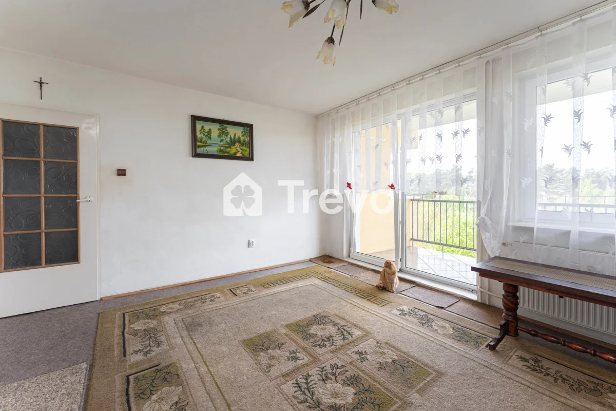 TN649050 - zdjęcie nr 3