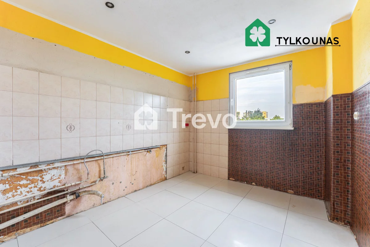 TN538930 - zdjęcie nr 2