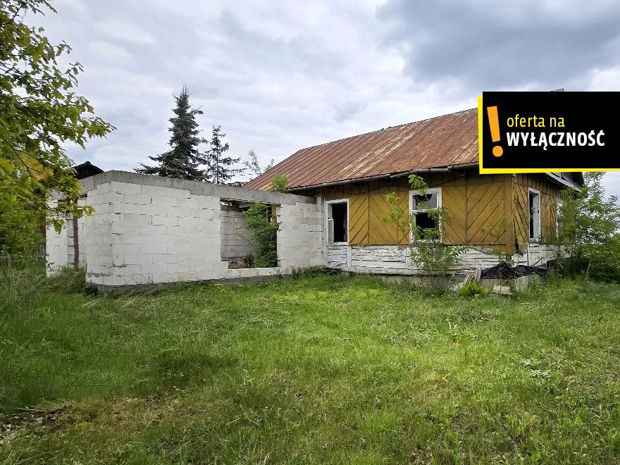 GH850348 - zdjęcie nr 0