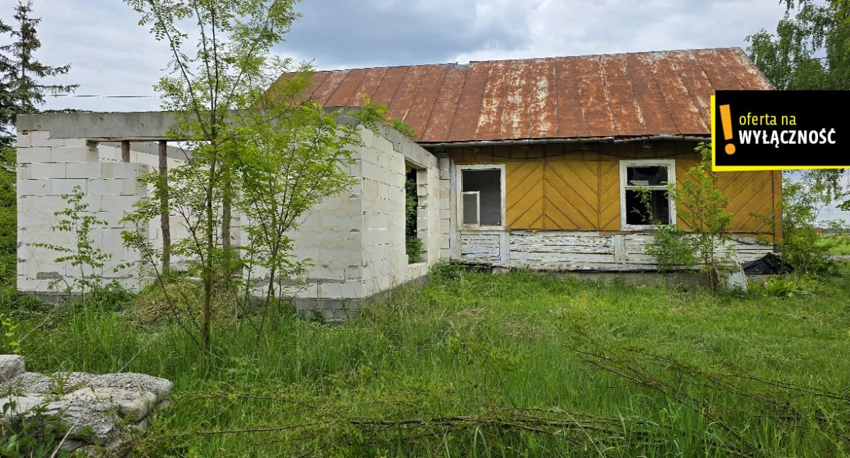 GH850348 - zdjęcie nr 3