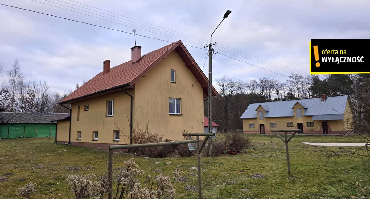 GH889308 - zdjęcie nr 3