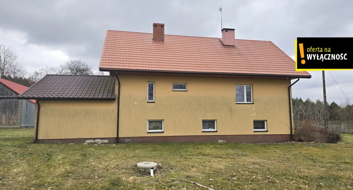 GH889308 - zdjęcie nr 4