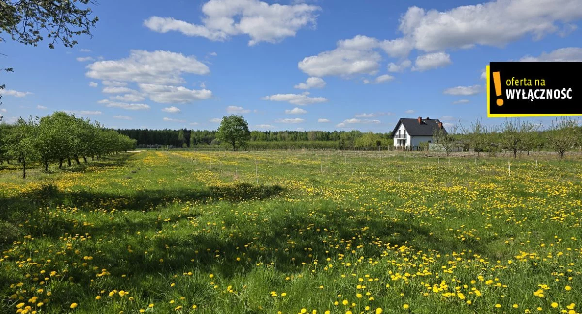 Dom 200,00 m², oferta nr , GH326792, Zofiówka