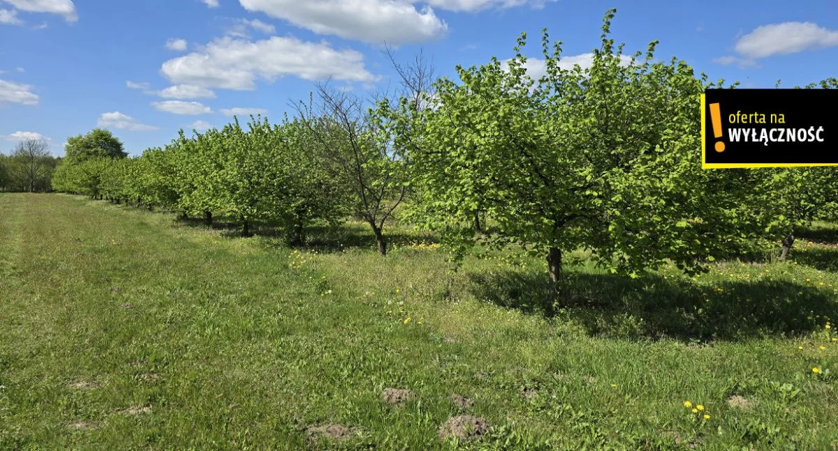 Dom 200,00 m², oferta nr , GH326792, Zofiówka