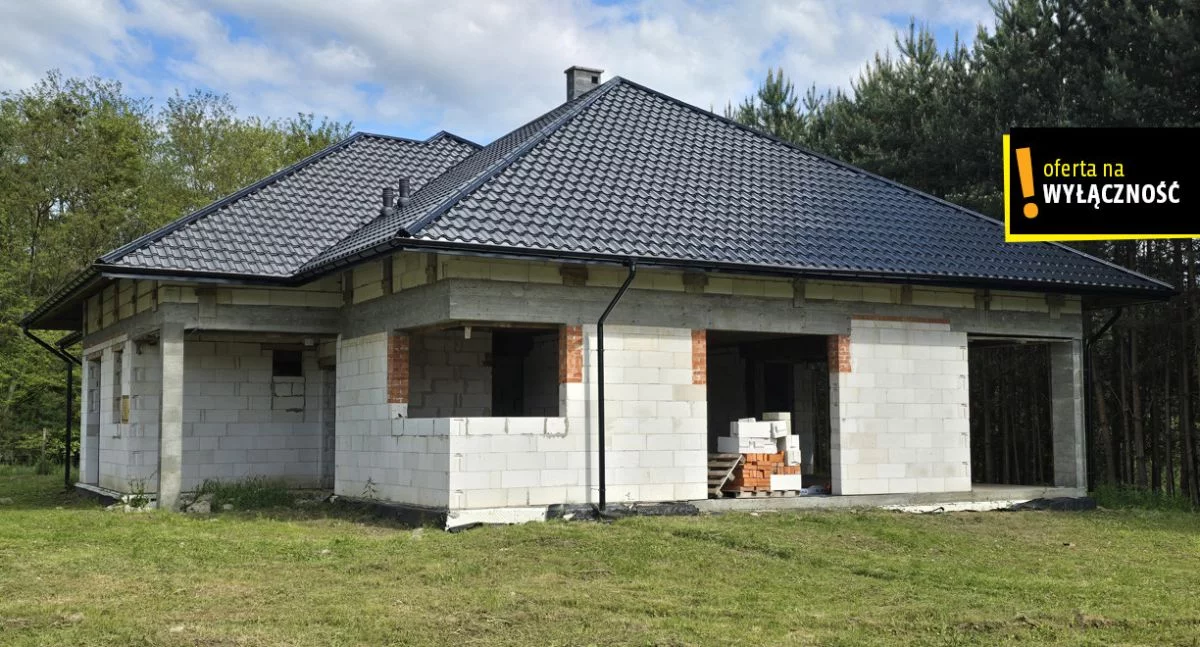 GH738095 - zdjęcie nr 0