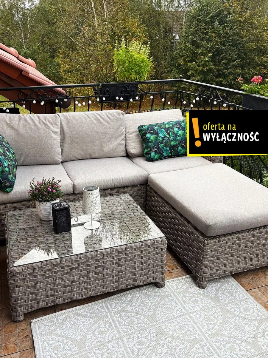 Dom 310,00 m², oferta nr , GH791049, Rybnik, Wincentego Witosa