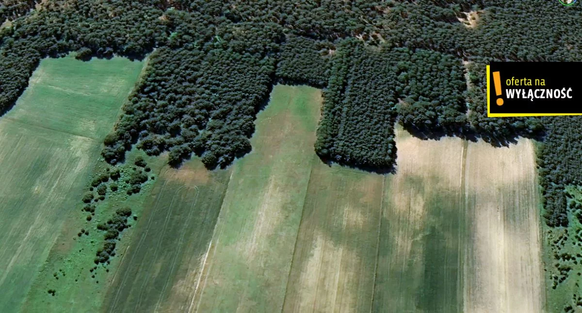 Działka 35 000,00 m², oferta nr , GH546030, Celiny