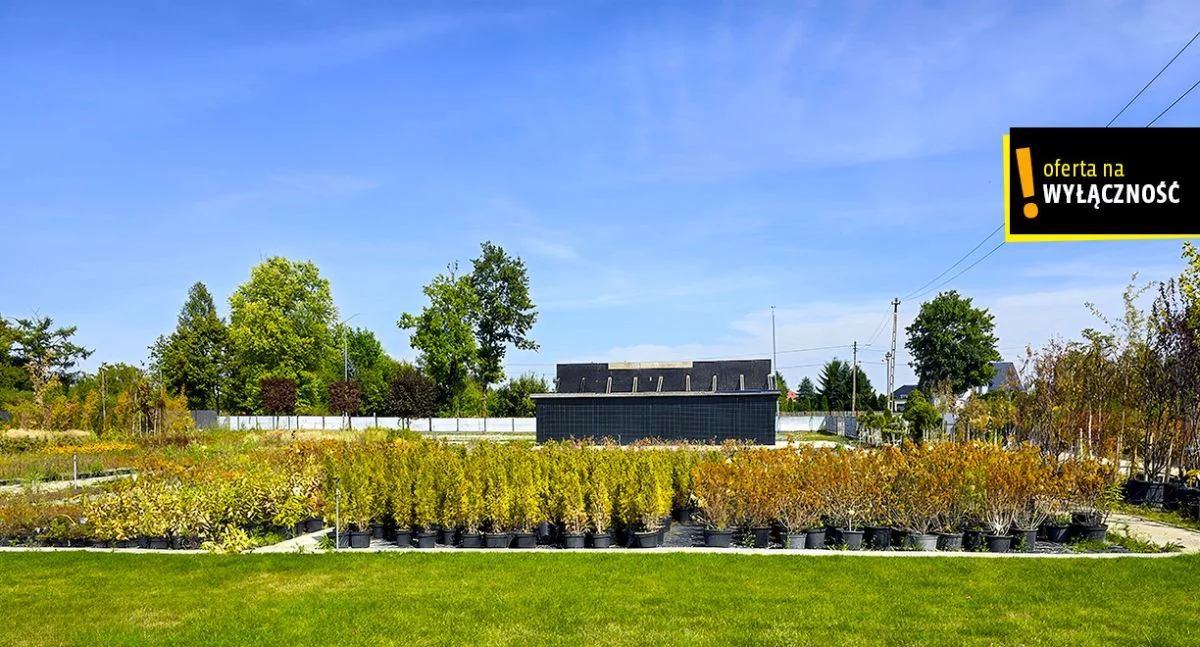 Działka 24 139,00 m², oferta nr , GH800843, Celiny