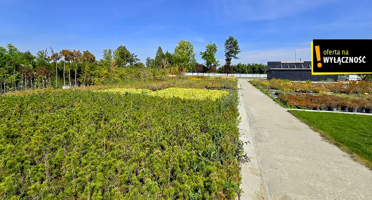 Działka 24 139,00 m², oferta nr , GH800843, Celiny
