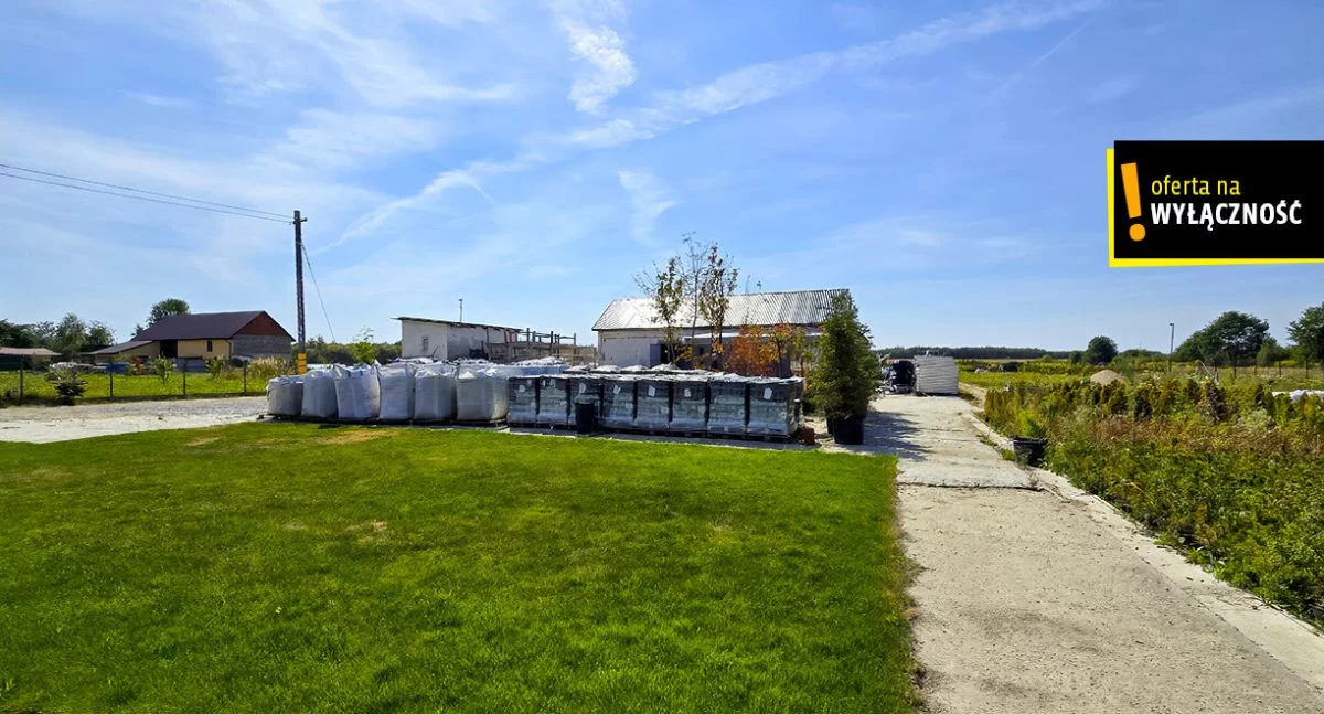 Działka 24 139,00 m², oferta nr , GH800843, Celiny