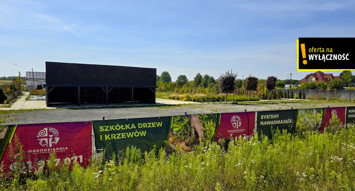 Działka 24 139,00 m², oferta nr , GH800843, Celiny