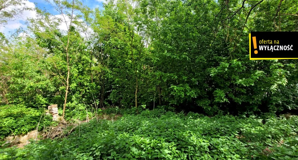 Działka 1 838,00 m², oferta nr , GH285612, Chmielów