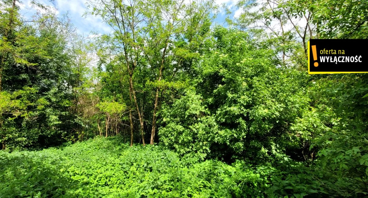 Działka 1 838,00 m², oferta nr , GH285612, Chmielów