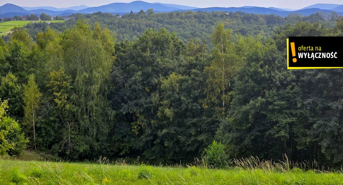 Działka 3 500,00 m², oferta nr , GH233721, Czechówka
