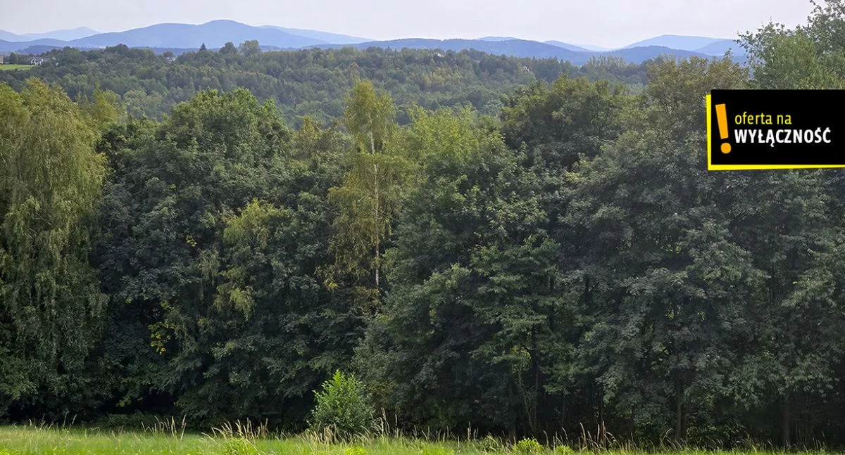 Działka 3 500,00 m², oferta nr , GH233721, Czechówka